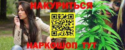 a pvp Гусь-Хрустальный
