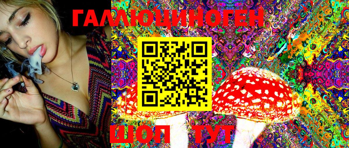 Псилоцибиновые грибы GOLDEN TEACHER Мытищи