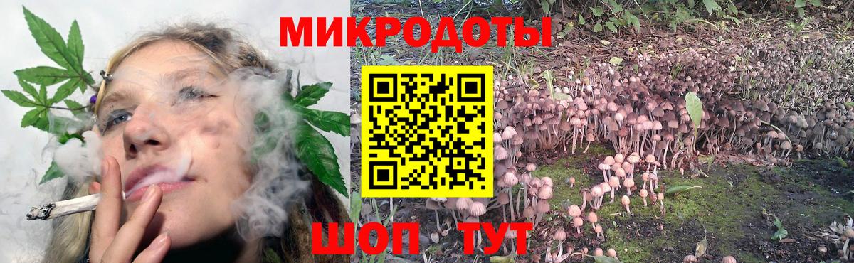 где найти наркотики  Галлюциногенные грибы мухоморы  Вход с VPN  Мытищи 